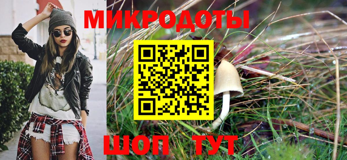 Псилоцибиновые грибы GOLDEN TEACHER  Вход с VPN  Междуреченск 